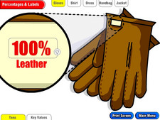 screen shot of Whole Class Percentages elementary school mainstream software